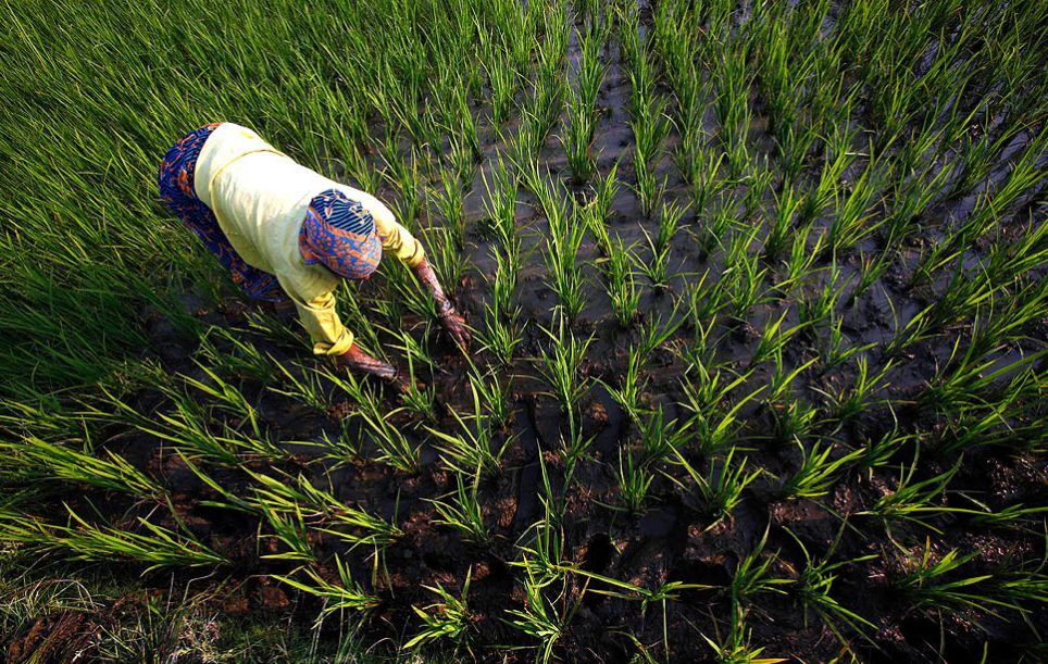 Картина дня: 1 березня в фотографіях