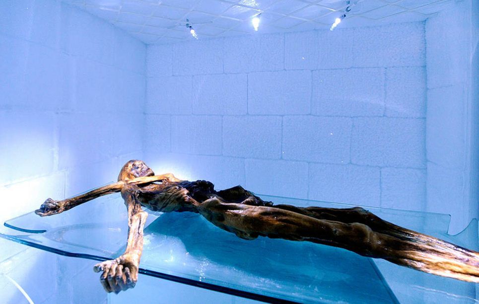 Картина дня: 1 березня в фотографіях