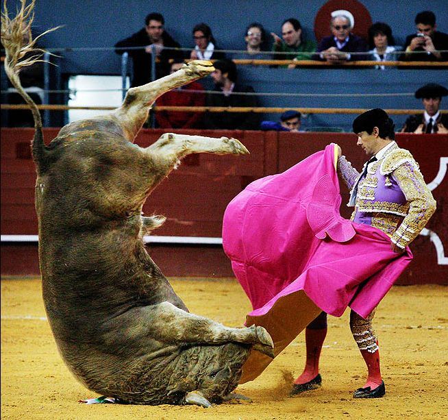 Картина дня: 1 березня в фотографіях