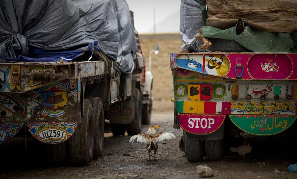 Талибы против водителей автоцистерн