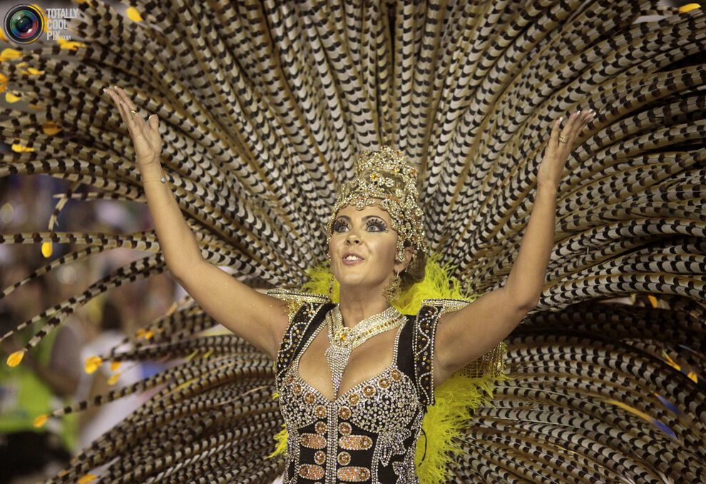 Карнавал в Ріо-де-Жанейро (134 фото)