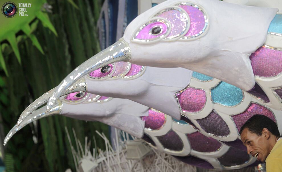 Карнавал в Ріо-де-Жанейро (134 фото)