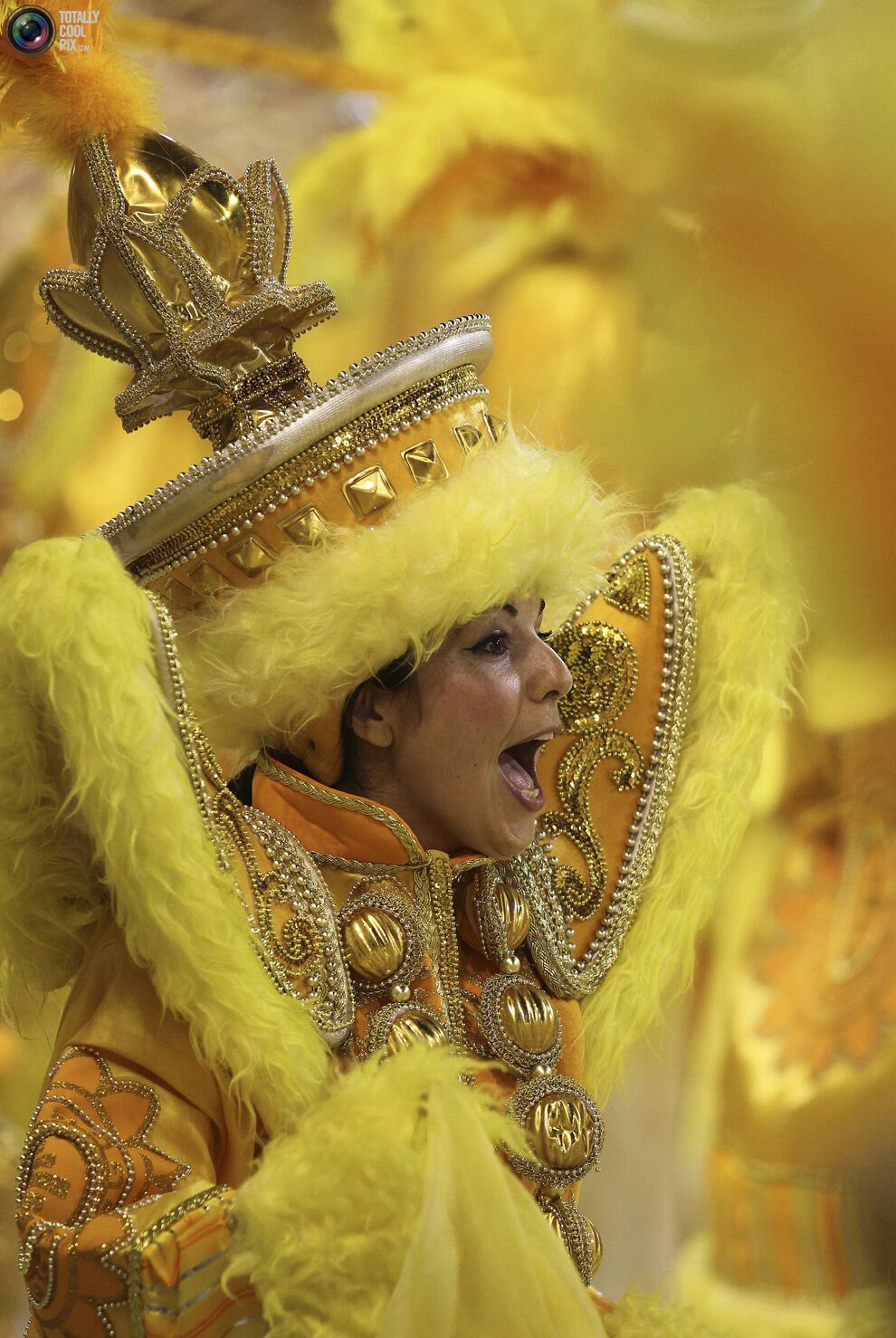 Карнавал в Ріо-де-Жанейро (134 фото)