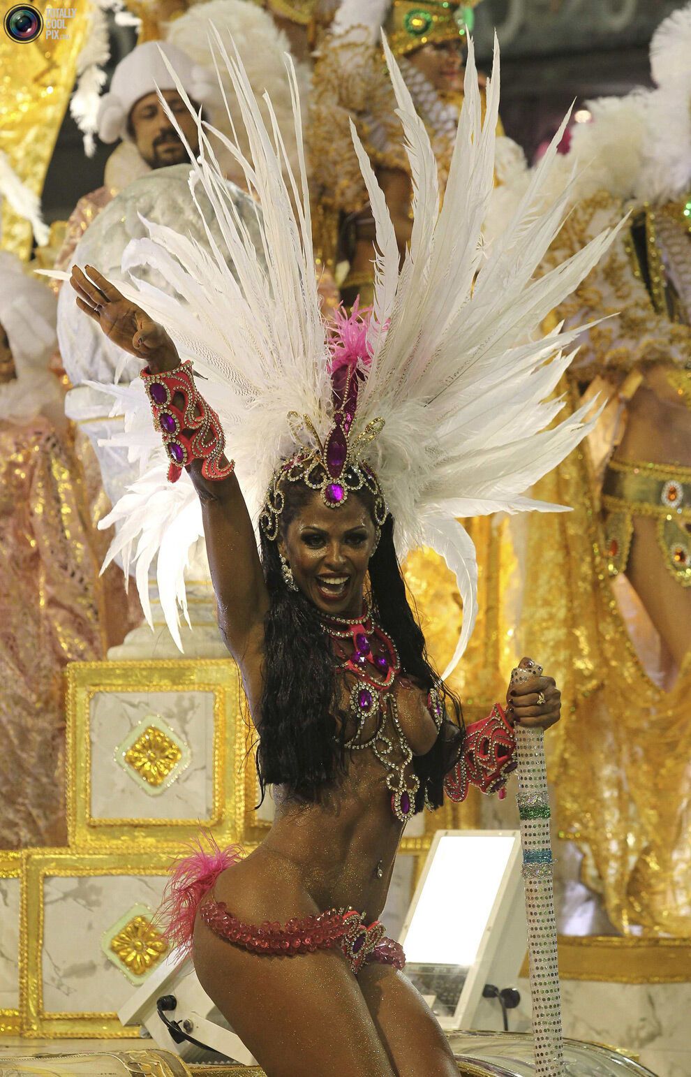 Карнавал в Ріо-де-Жанейро (134 фото)