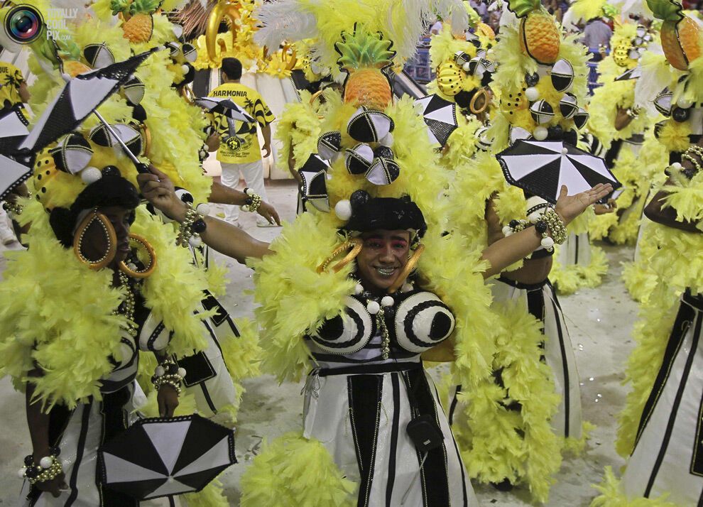 Карнавал в Ріо-де-Жанейро (134 фото)