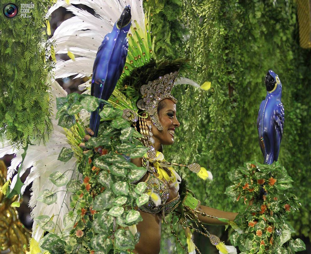 Карнавал в Ріо-де-Жанейро (134 фото)