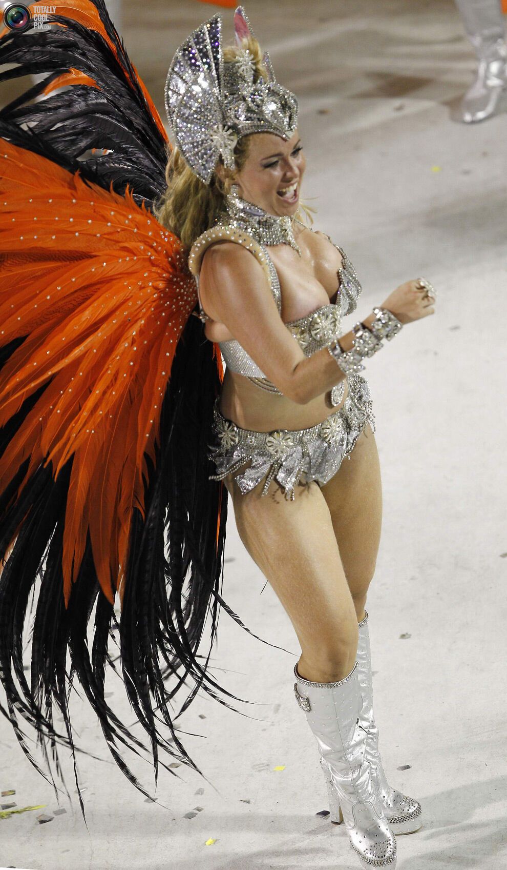 Карнавал в Ріо-де-Жанейро (134 фото)