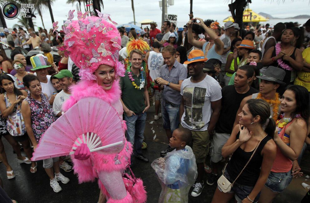Карнавал в Ріо-де-Жанейро (134 фото)
