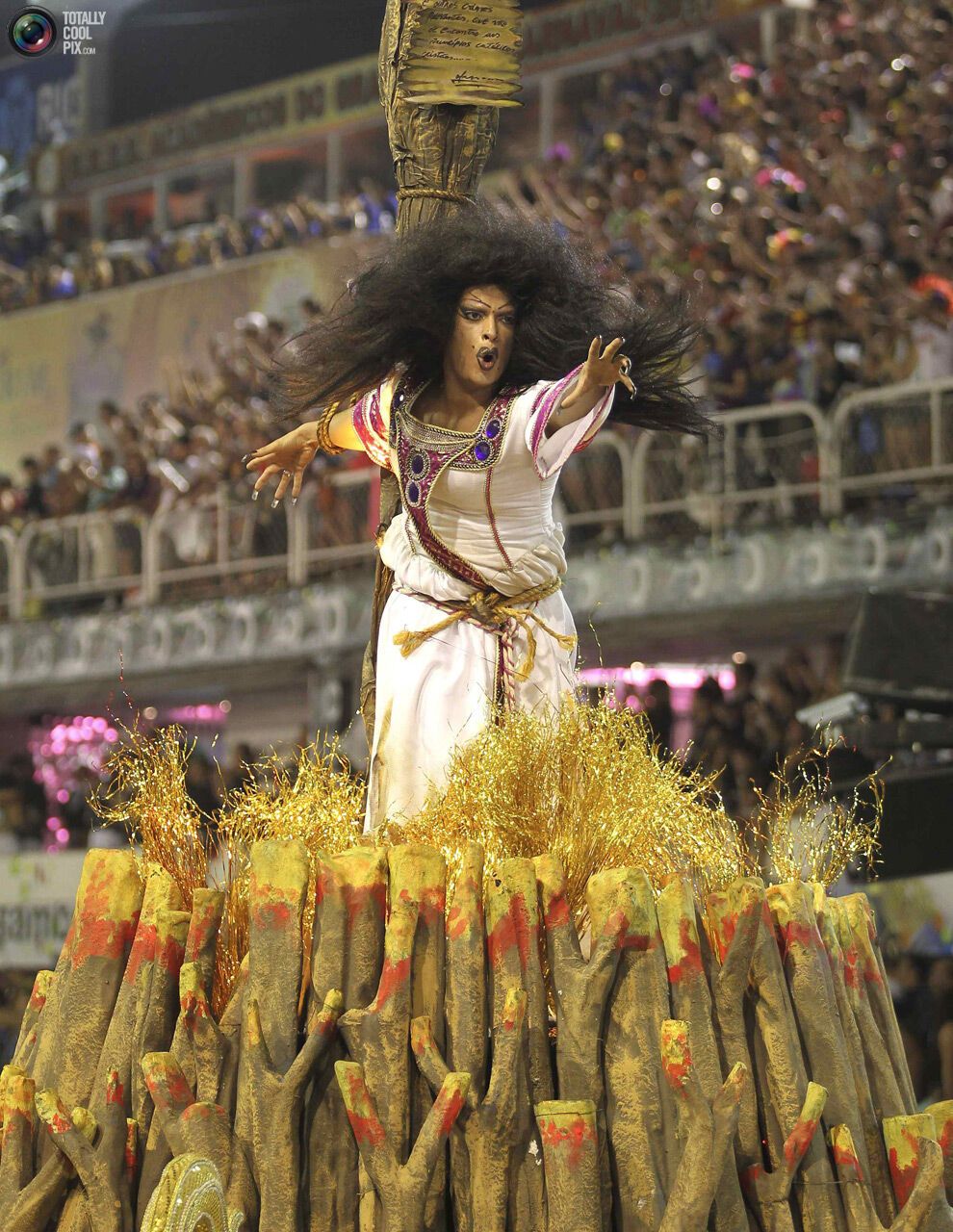 Карнавал в Ріо-де-Жанейро (134 фото)