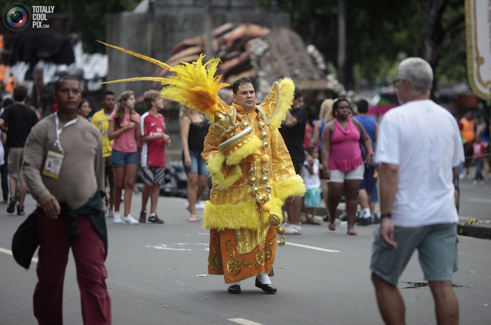 Карнавал в Ріо-де-Жанейро (134 фото)