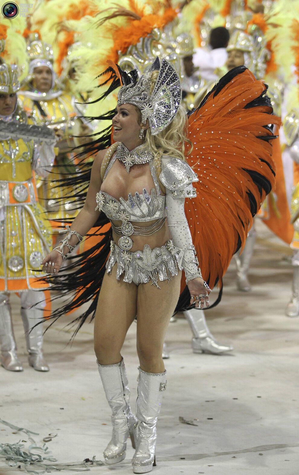 Карнавал в Ріо-де-Жанейро (134 фото)