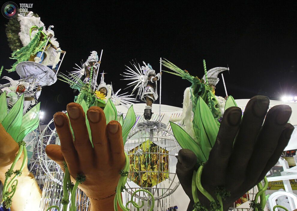 Карнавал в Ріо-де-Жанейро (134 фото)