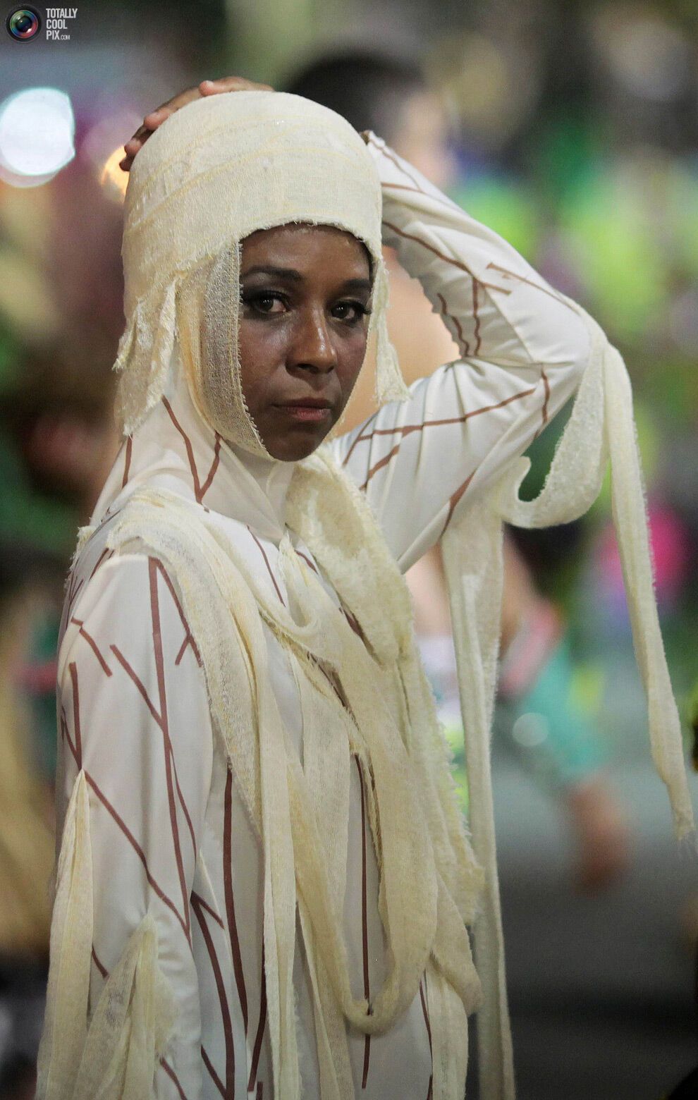 Карнавал в Ріо-де-Жанейро (134 фото)