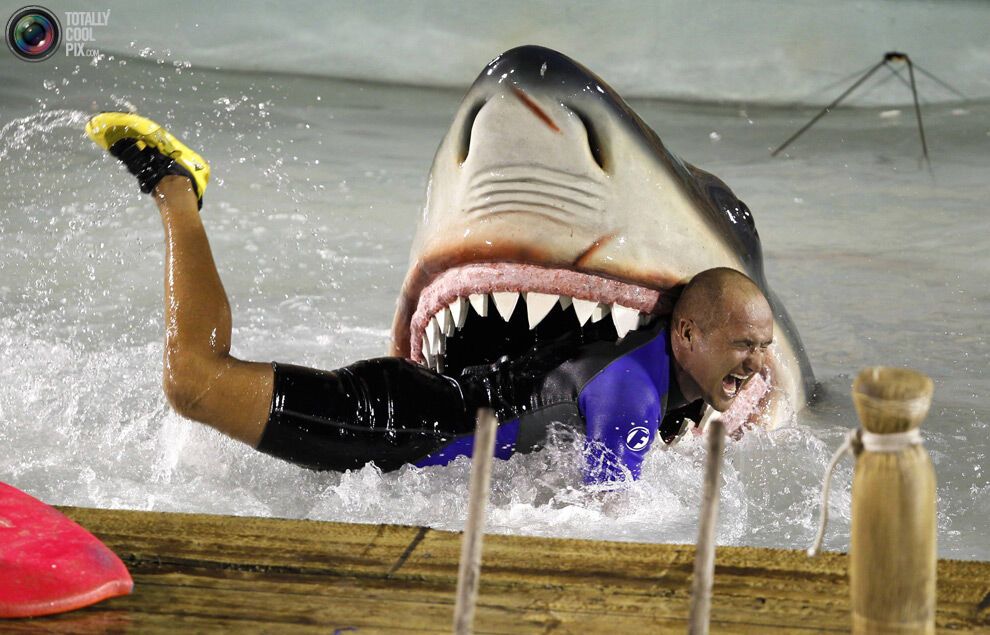 Карнавал в Ріо-де-Жанейро (134 фото)