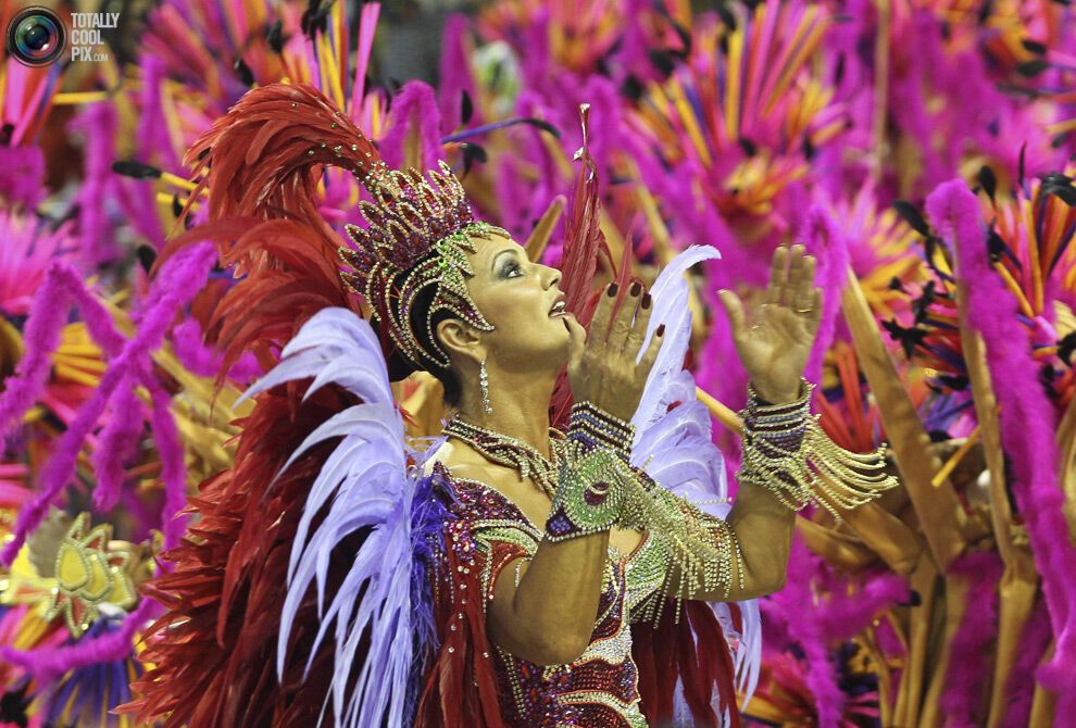 Карнавал в Ріо-де-Жанейро (134 фото)