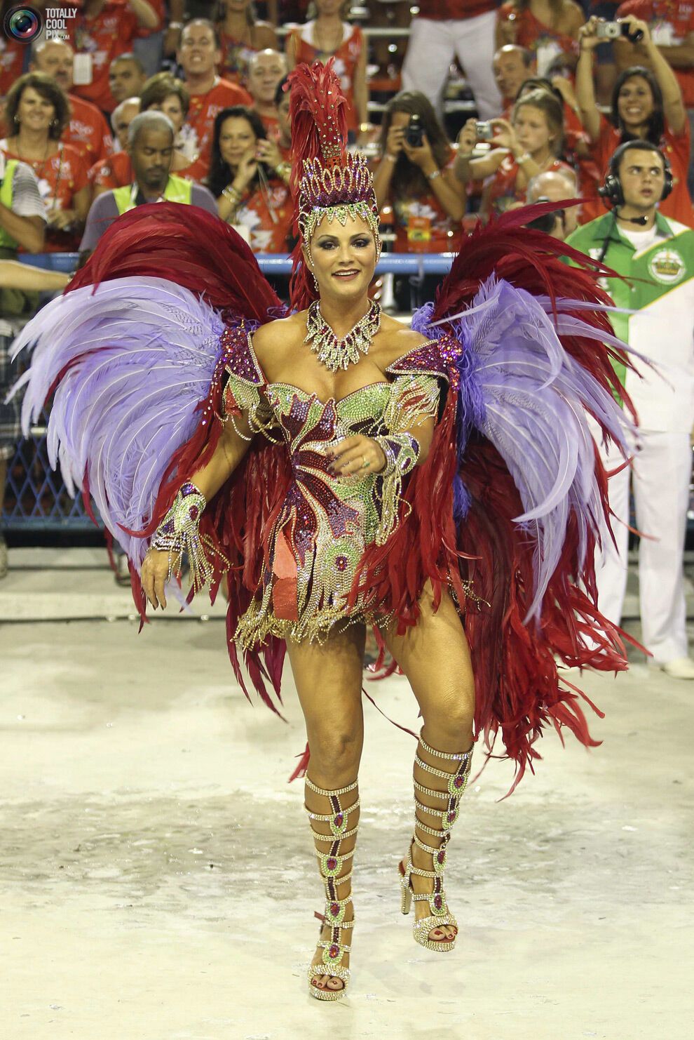 Карнавал в Ріо-де-Жанейро (134 фото)