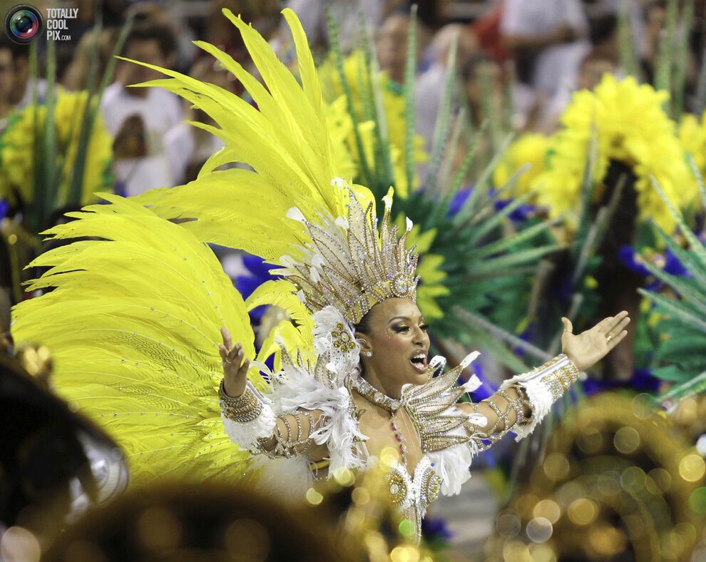 Карнавал в Ріо-де-Жанейро (134 фото)
