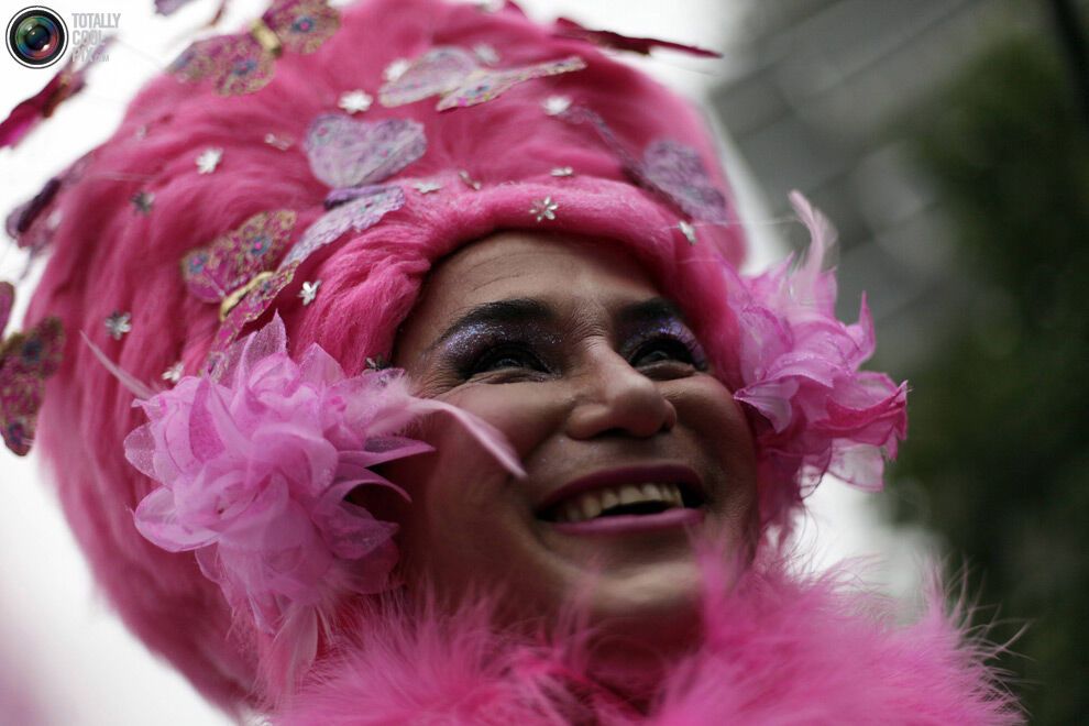 Карнавал в Ріо-де-Жанейро (134 фото)