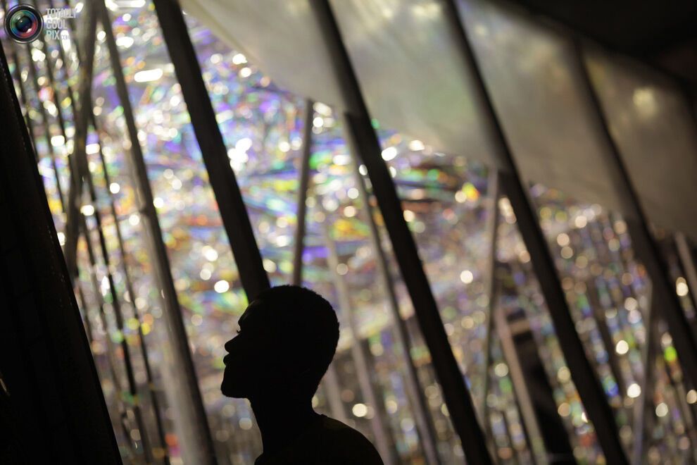 Карнавал в Ріо-де-Жанейро (134 фото)