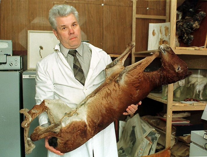 Чернобыль – самая страшная атомная катастрофа в истории