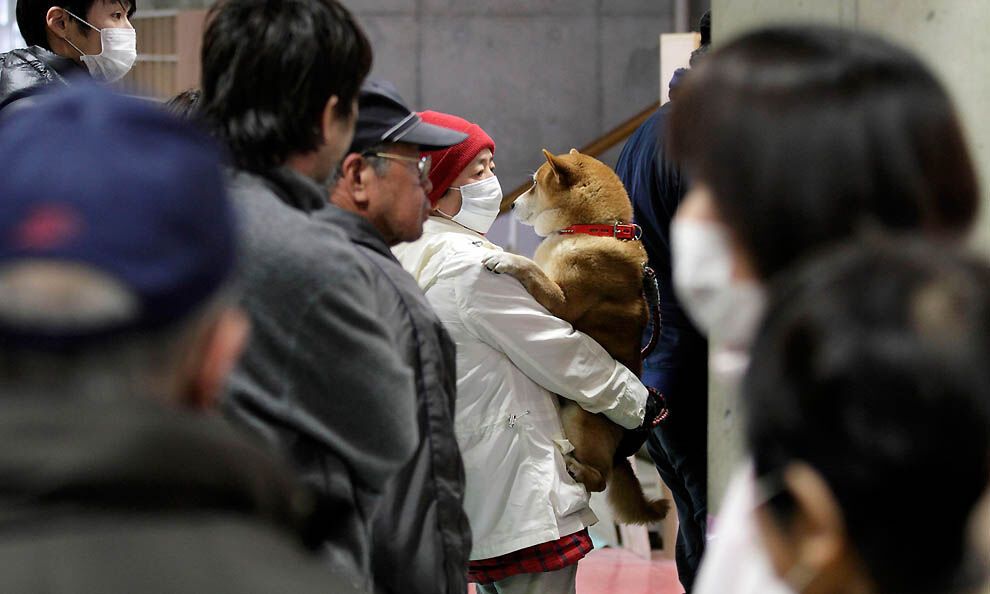 Ситуація в Японії після удару стихії
