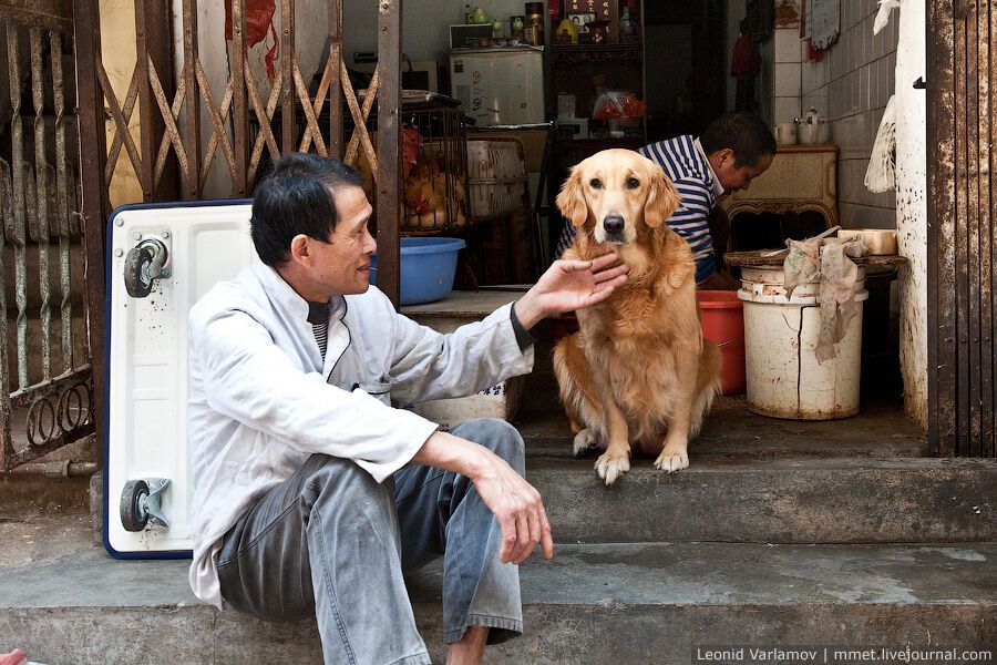 Нетрі китайського міста Гуанчжоу