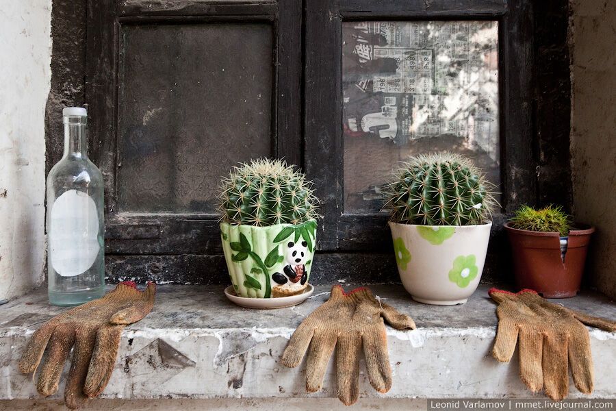 Нетрі китайського міста Гуанчжоу