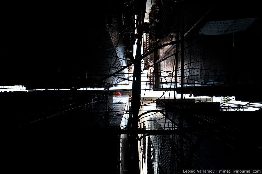 Нетрі китайського міста Гуанчжоу