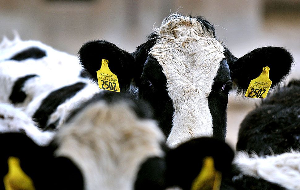 Картина дня: 2 березня в фотографіях