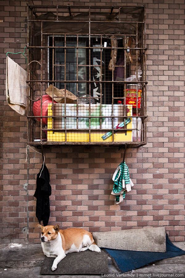 Нетрі китайського міста Гуанчжоу