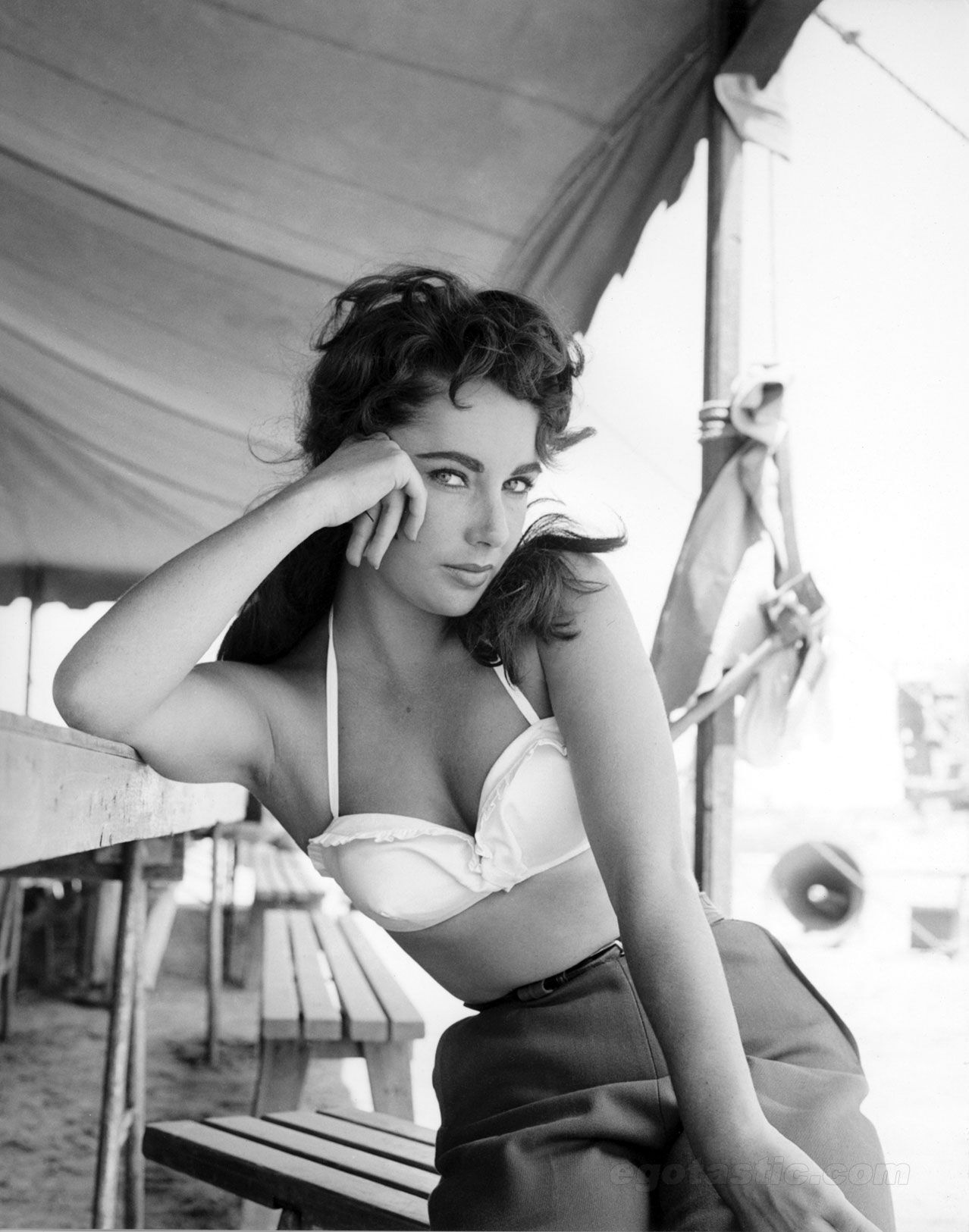 В память о красоте и сексуальности Элизабет Тейлор