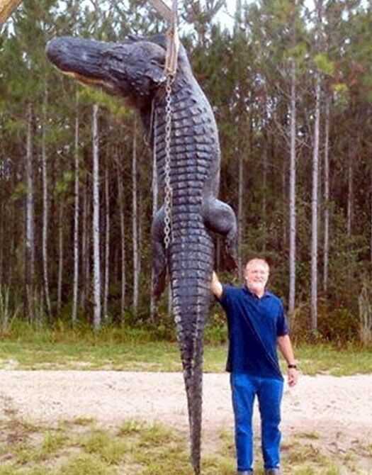 Во Флориде застрелен живой динозавр. Фото