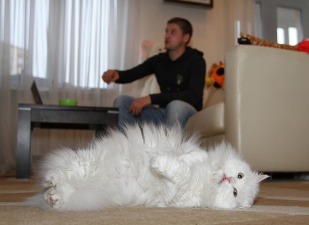 Как живет защитник "Шахтера" и сборной Украины Ярослав Ракицкий