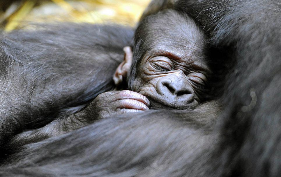 Картина дня: 3 березня в фотографіях