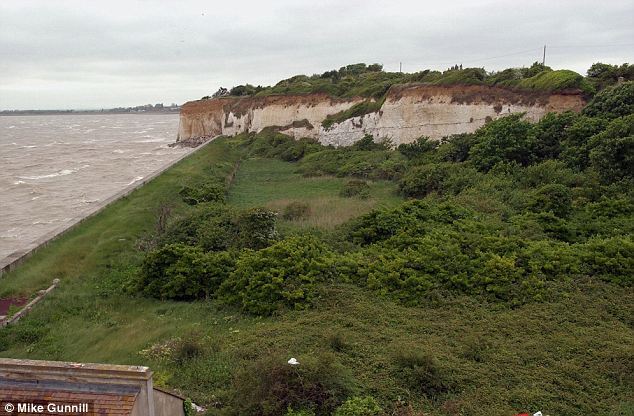 Сумний кінець морського гіганта