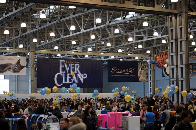 Міжнародна виставка котів "Кетсбург 2011"