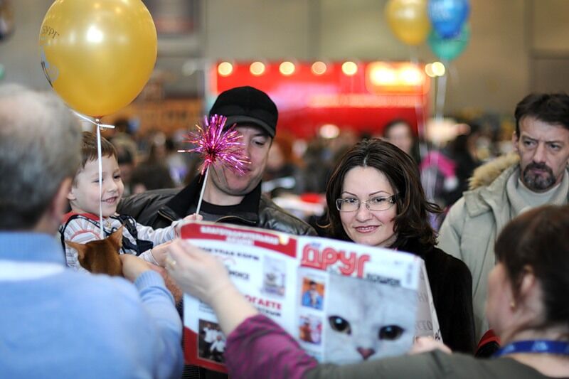 Міжнародна виставка котів "Кетсбург 2011"