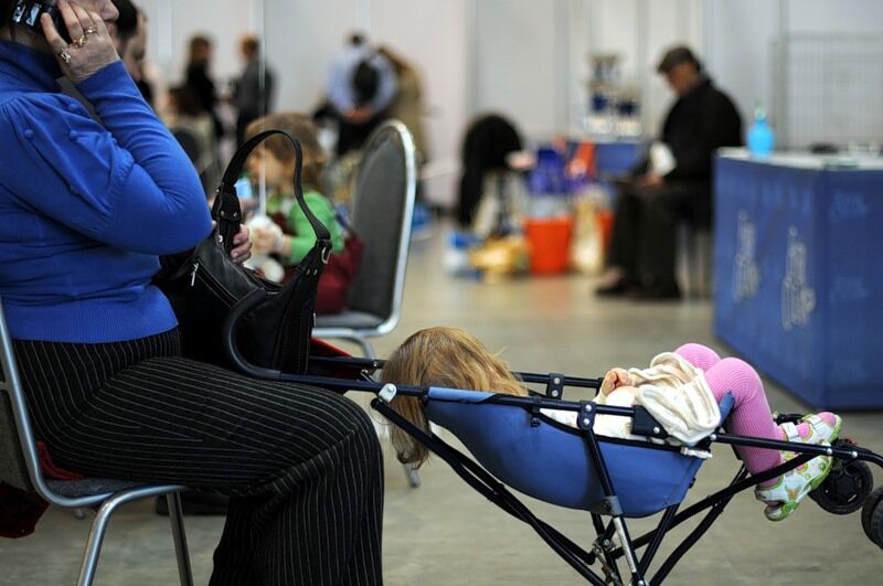 Міжнародна виставка котів "Кетсбург 2011"