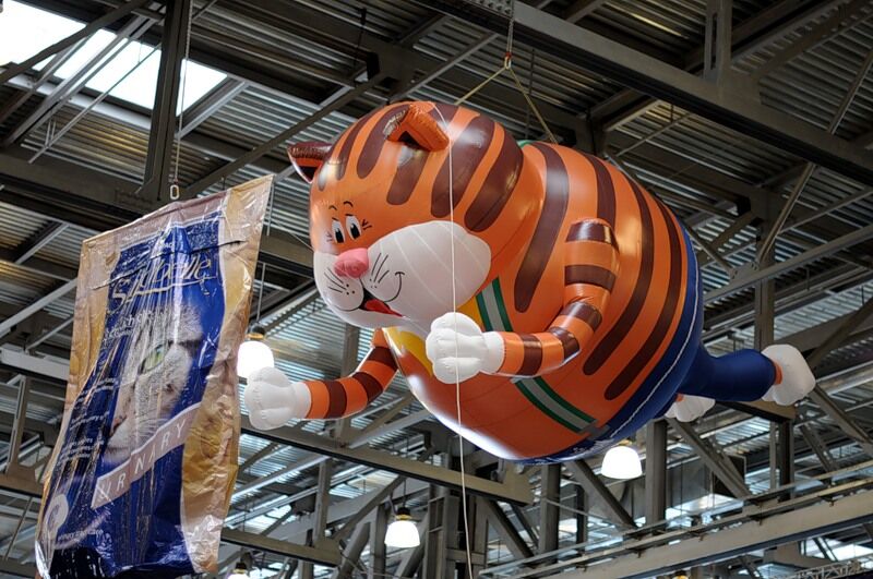 Міжнародна виставка котів "Кетсбург 2011"