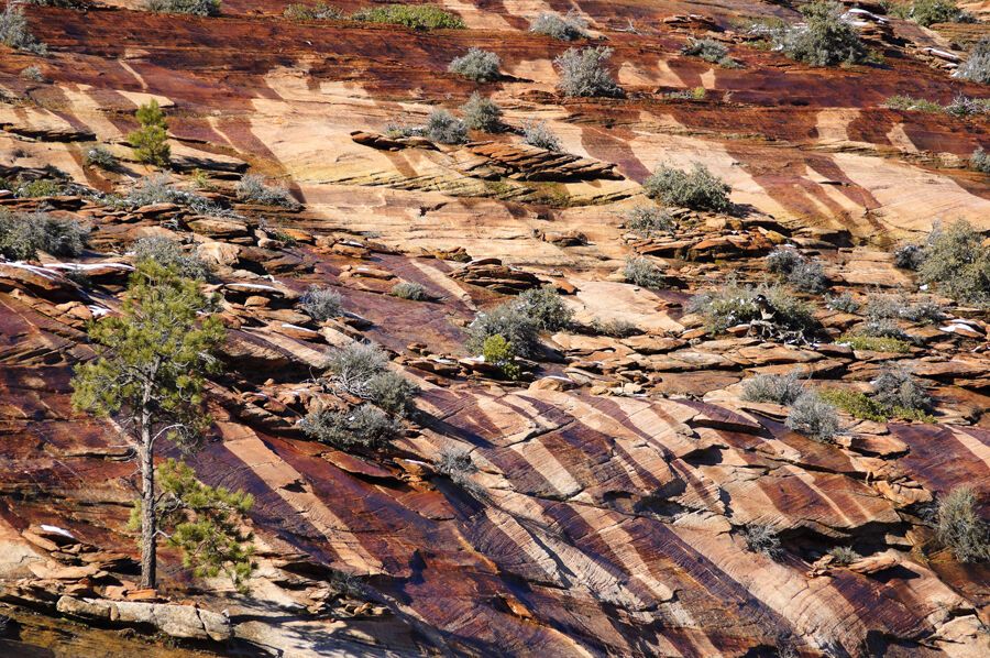Национальный парк Зайон