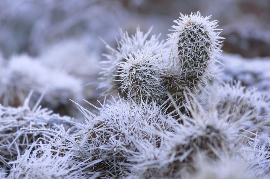 Национальный парк Зайон