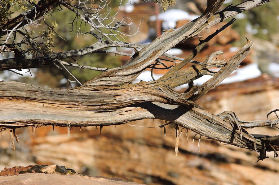Национальный парк Зайон
