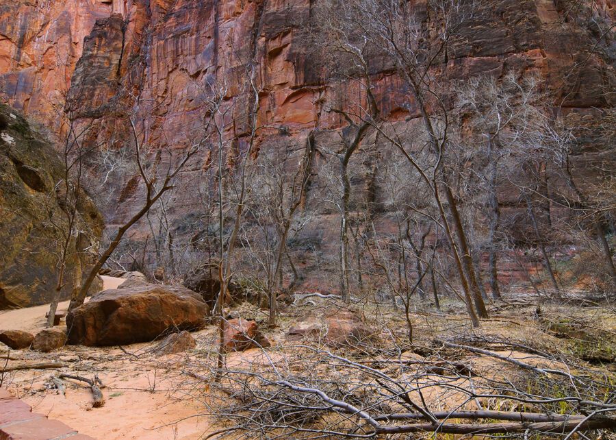 Национальный парк Зайон