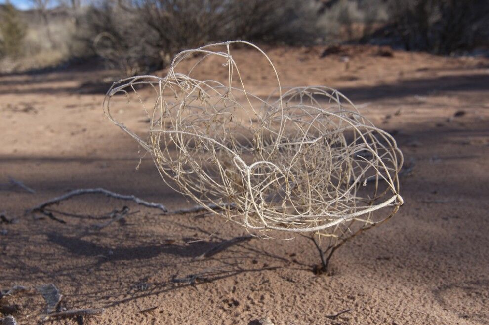 Национальный парк Зайон