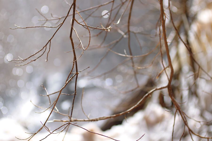 Национальный парк Зайон