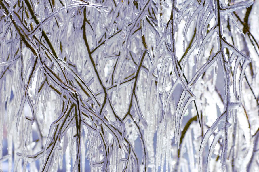 Национальный парк Зайон