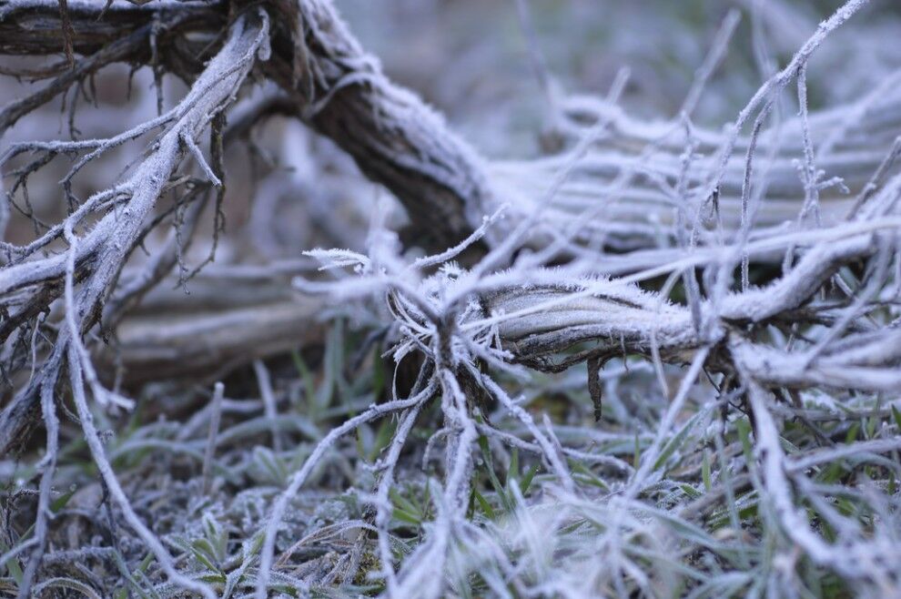 Национальный парк Зайон