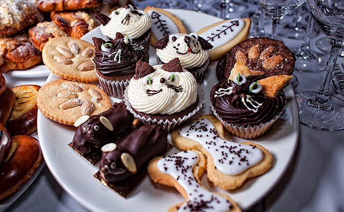 В Москве открыли ресторан для домашних животных