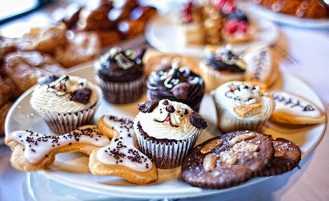 В Москве открыли ресторан для домашних животных