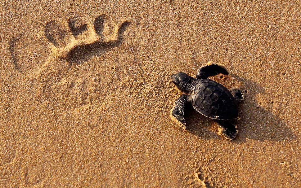 Картина дня: 27 апреля в фотографиях